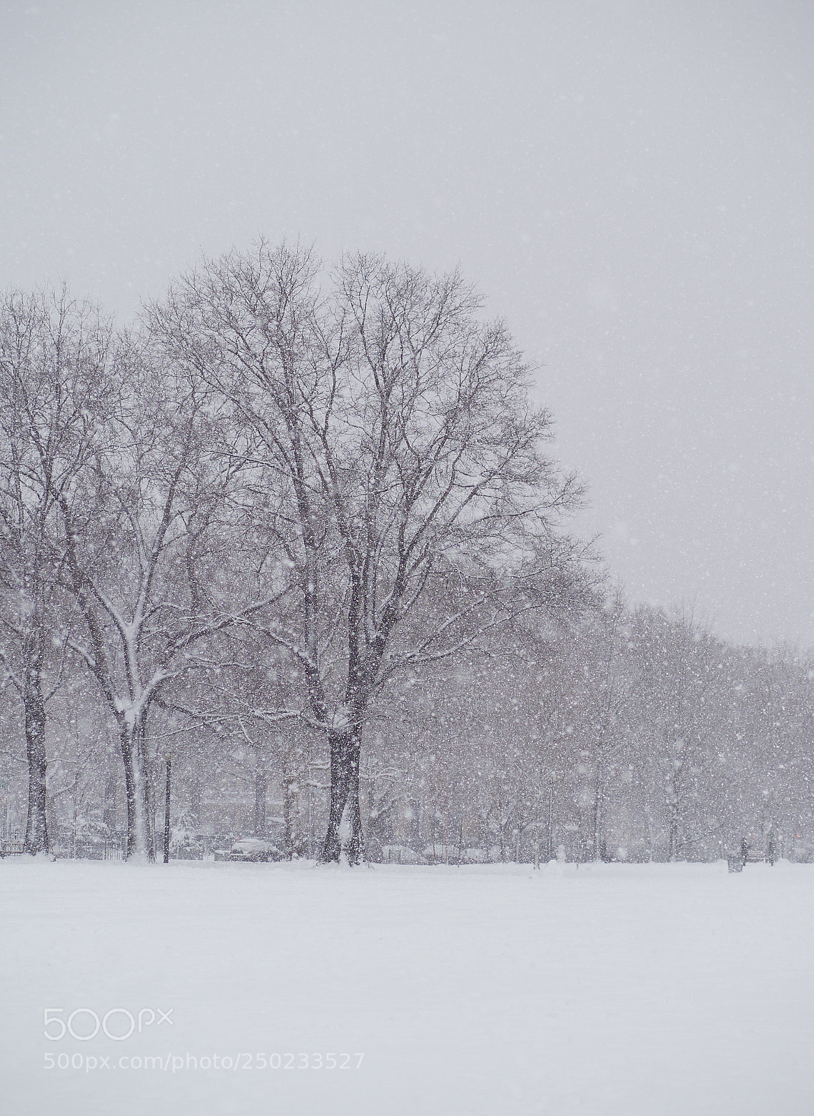 Olympus OM-D E-M1 Mark II sample photo. Spring snow photography