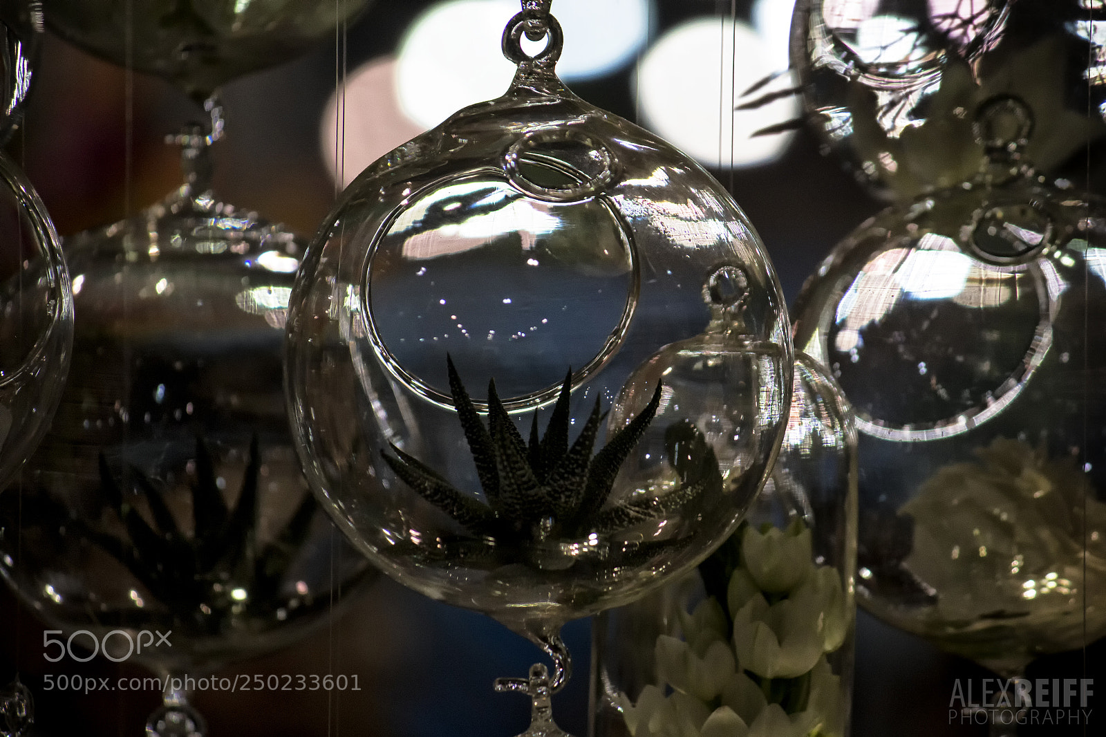 Canon EOS 100D (EOS Rebel SL1 / EOS Kiss X7) sample photo. Hanging globes photography
