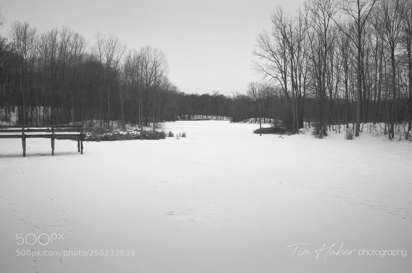 Nikon D90 sample photo. Sunday at the frozen photography