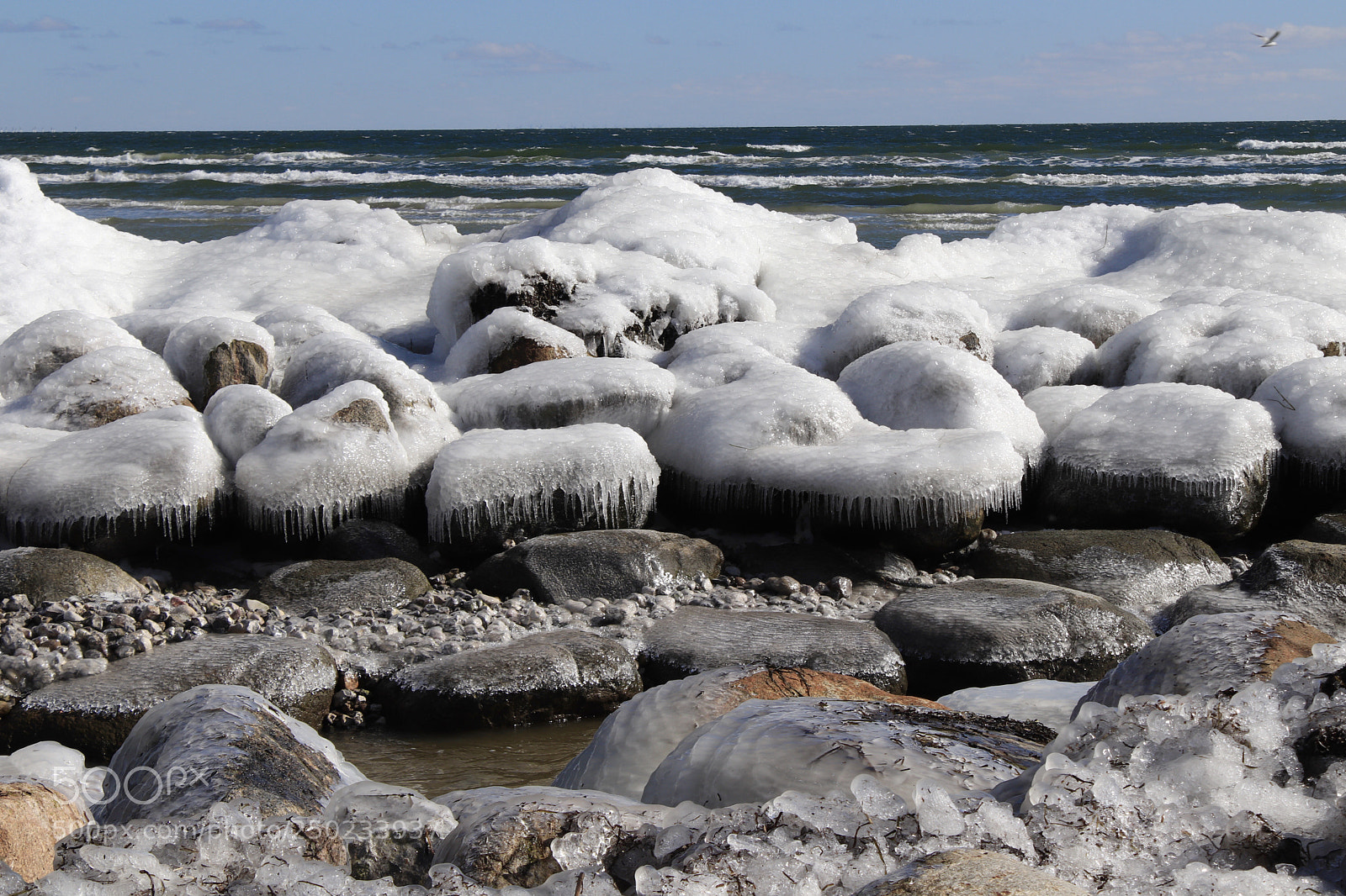 Canon EOS 77D (EOS 9000D / EOS 770D) sample photo. On ice  photography
