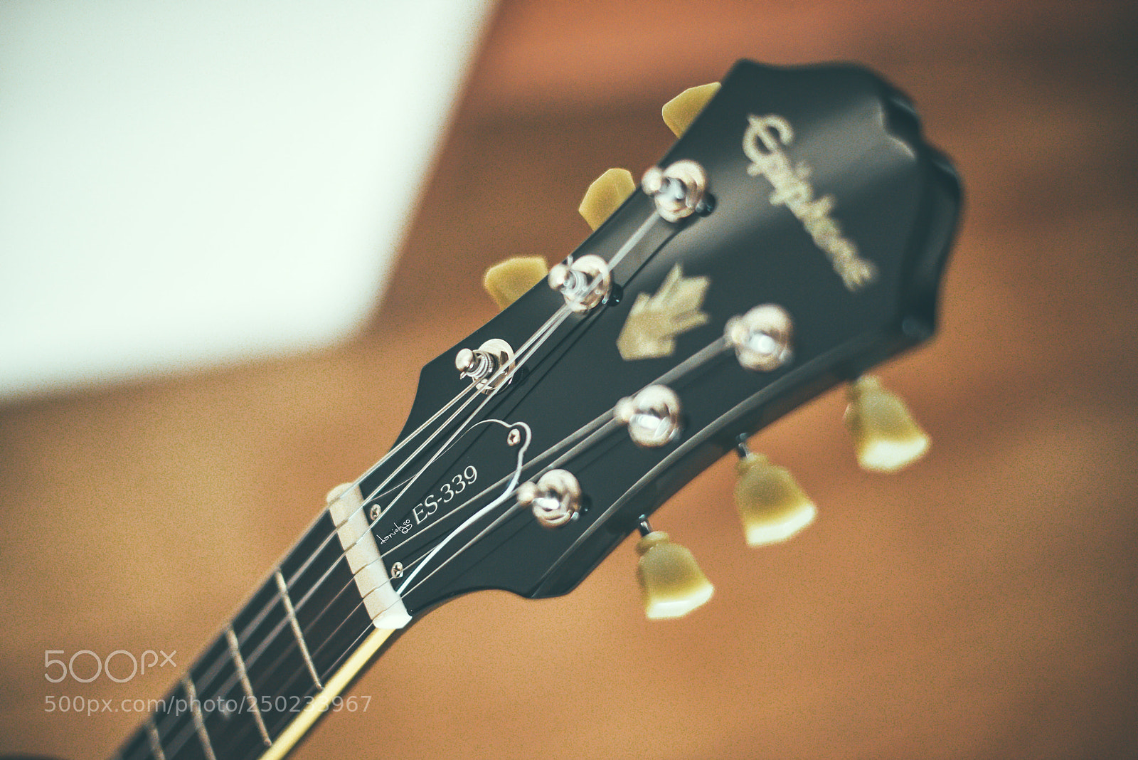 Nikon D810 sample photo. The epi 339 pro photography