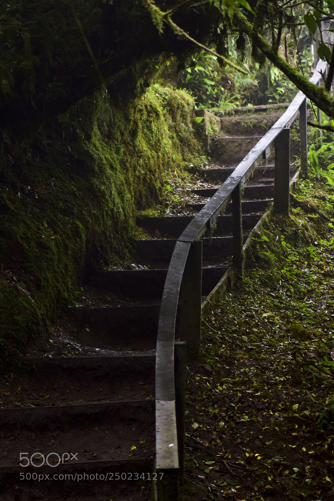 Nikon D5300 sample photo. Escaleras photography