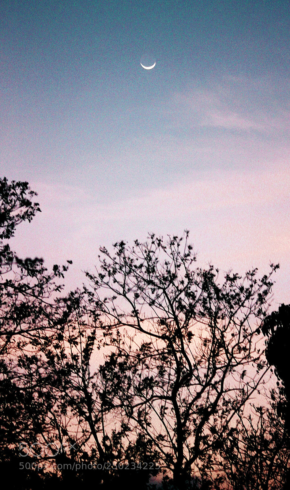 Canon EOS 1100D (EOS Rebel T3 / EOS Kiss X50) sample photo. Vintage style photography