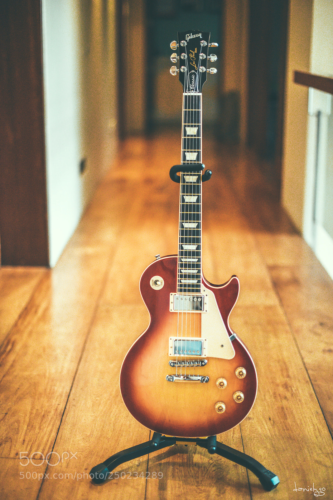 Nikon D810 sample photo. 2017 gibson les paul classic photography
