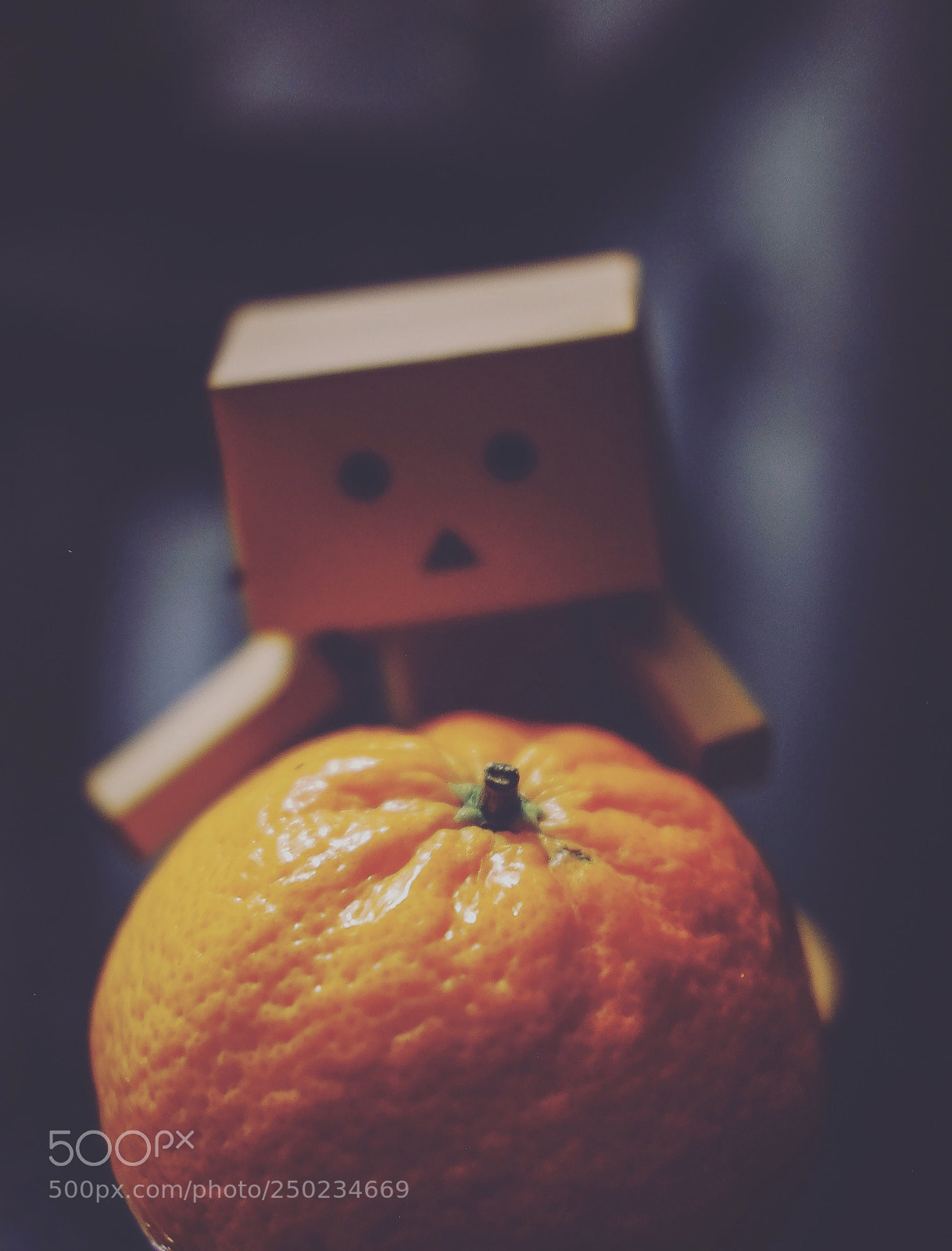 Fujifilm X-T10 sample photo. Danbo photography