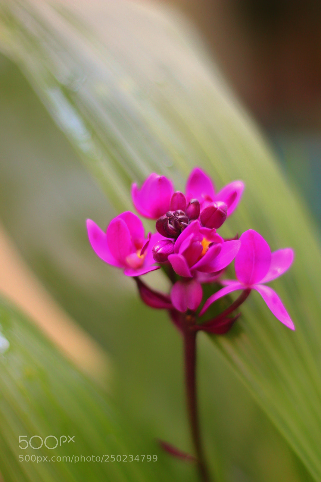 Canon EOS 1200D (EOS Rebel T5 / EOS Kiss X70 / EOS Hi) sample photo. Untitled photography