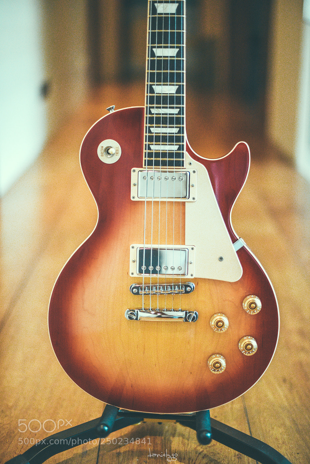 Nikon D810 sample photo. 2017 gibson les paul classic photography