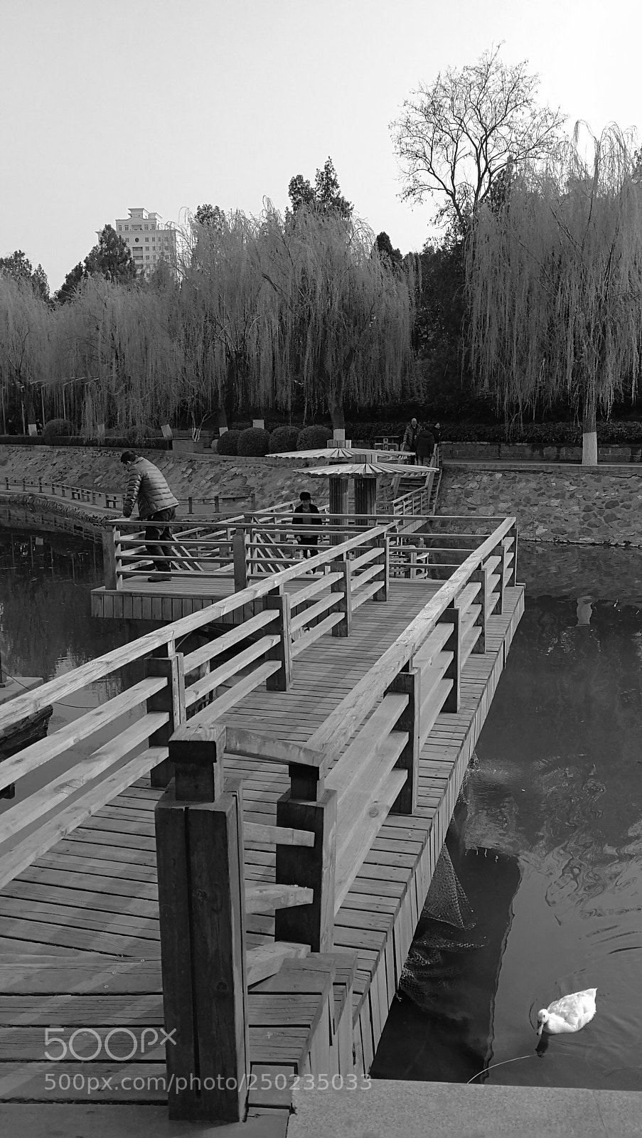 HUAWEI Mate 9 sample photo. 春 photography