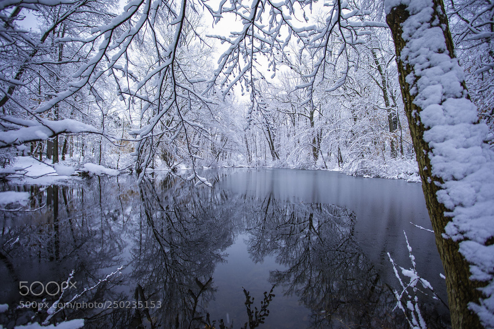 Canon EOS 5D Mark IV sample photo. Winter reflection photography