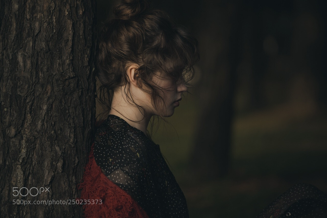 Sony a7R II sample photo. Untitled photography