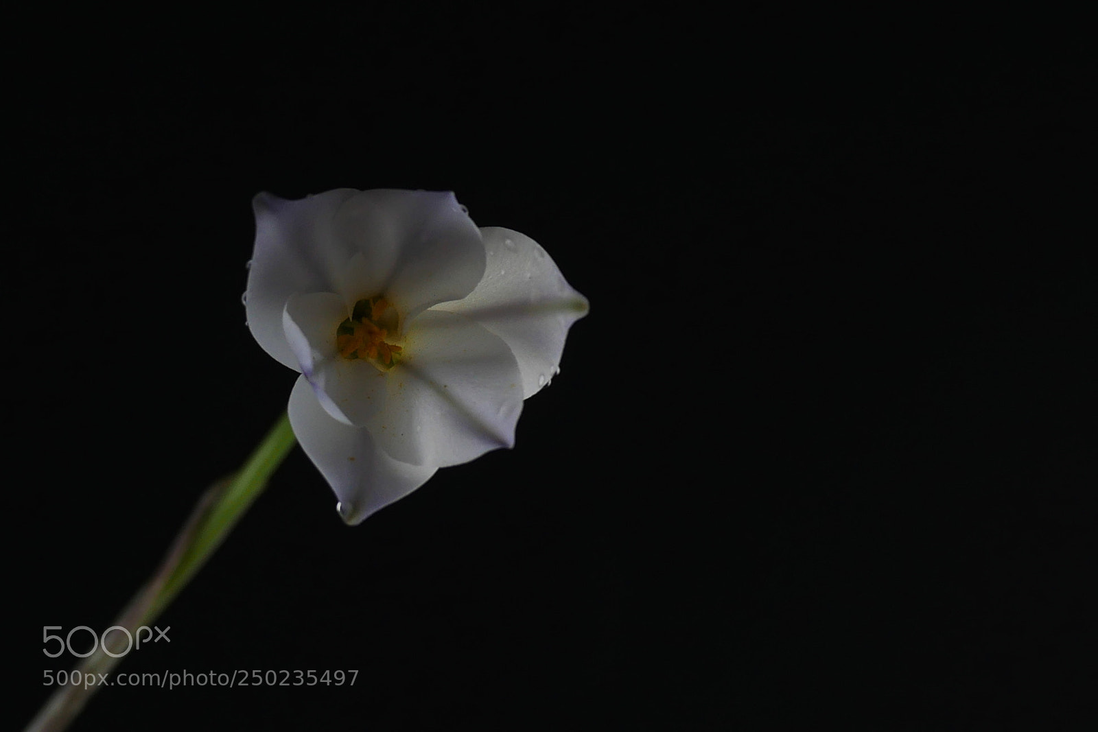 Panasonic Lumix DMC-GX8 sample photo. Dawn photography