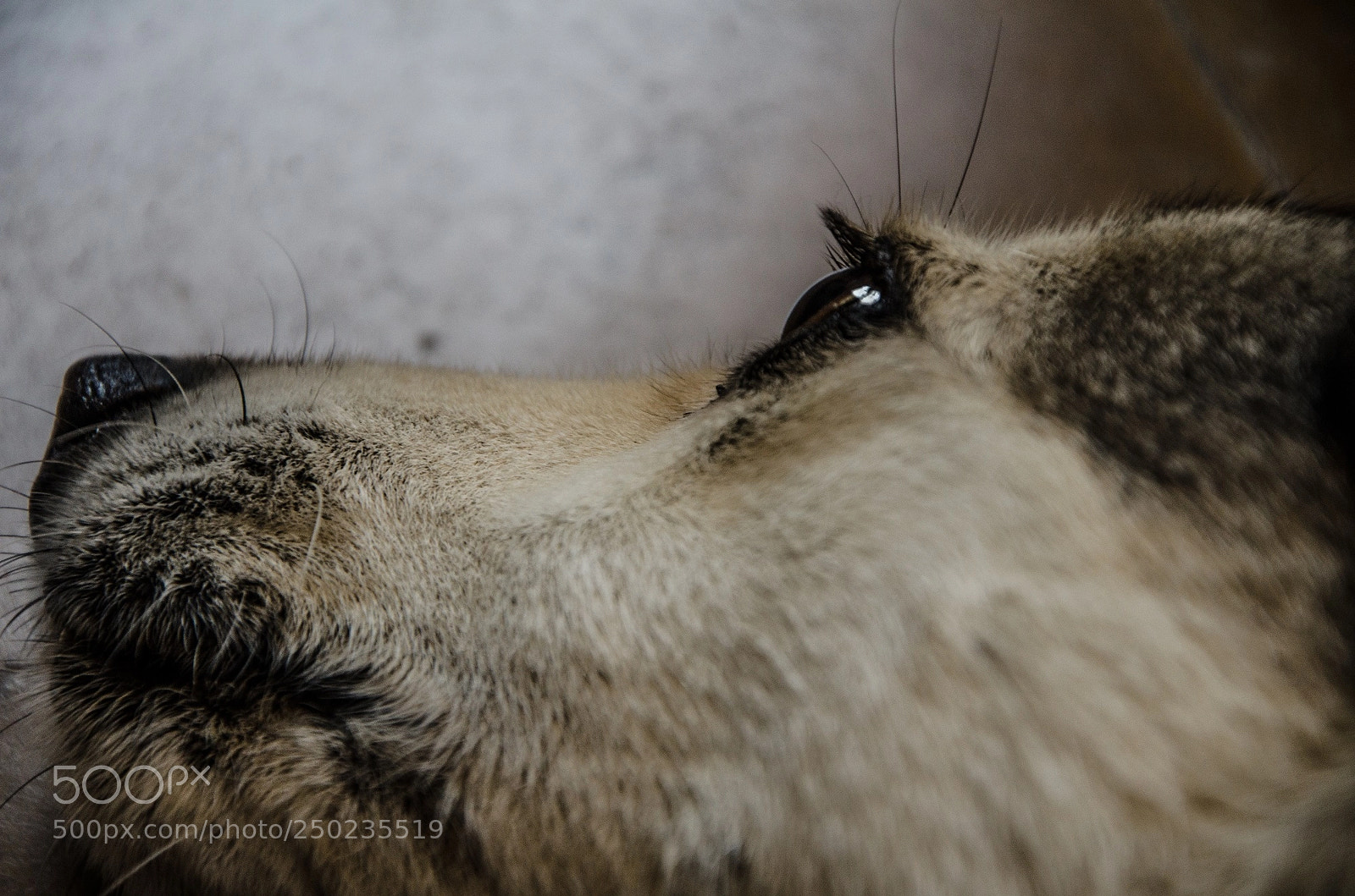 Nikon D7000 sample photo. Untitled photography