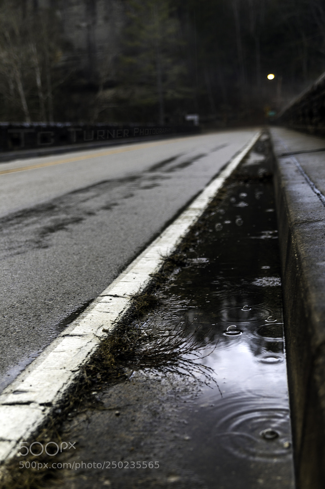 Canon EOS 5D Mark IV sample photo. The gutter photography