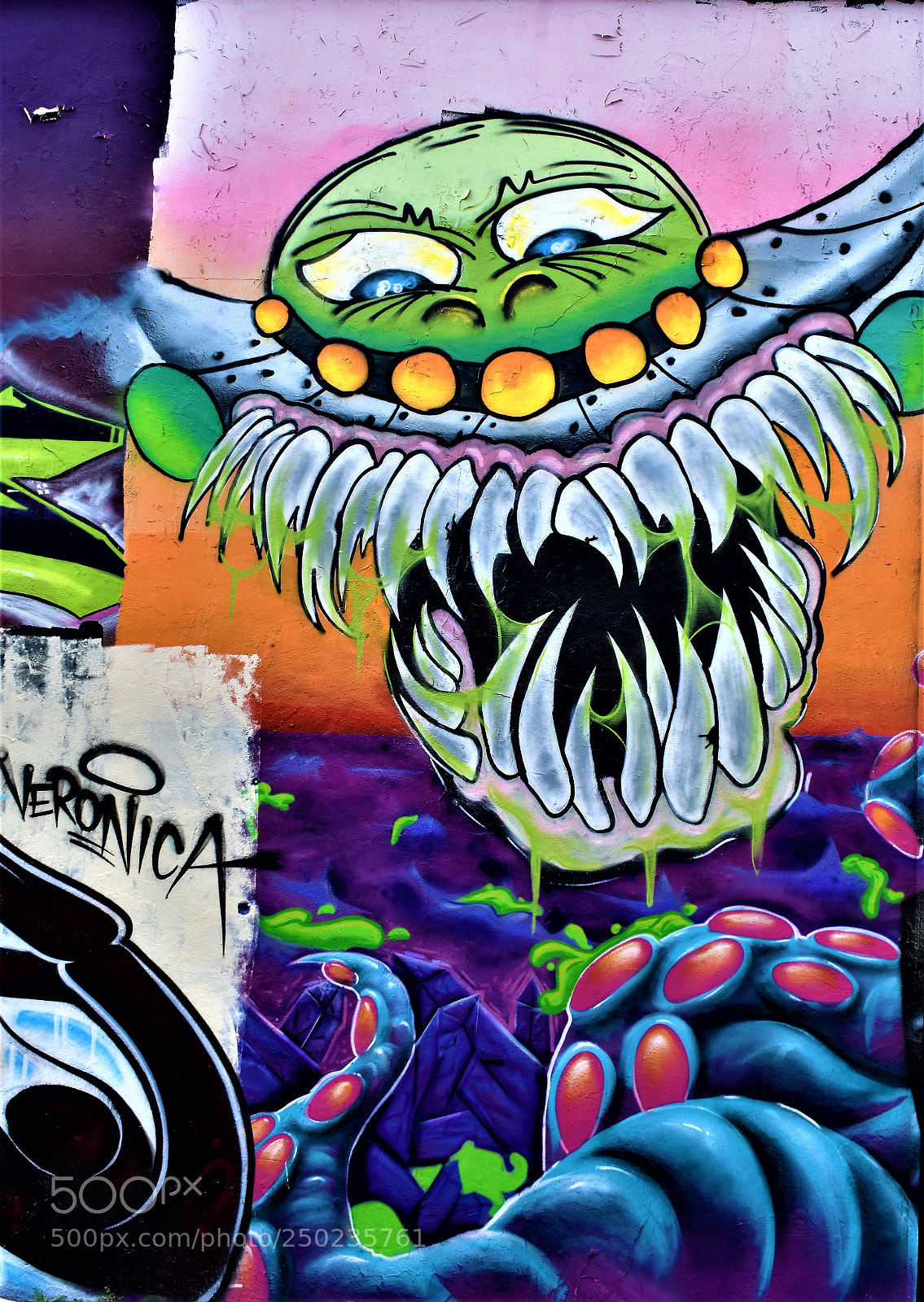 Nikon D3400 sample photo. Street art san antonio photography