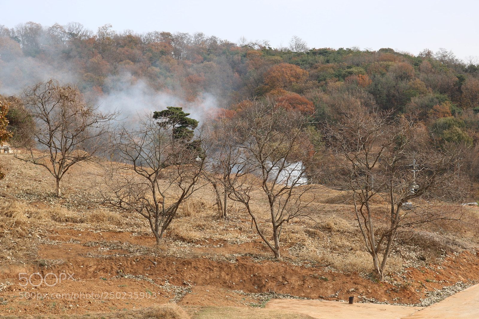 Canon EOS 750D (EOS Rebel T6i / EOS Kiss X8i) sample photo. The color of nature photography