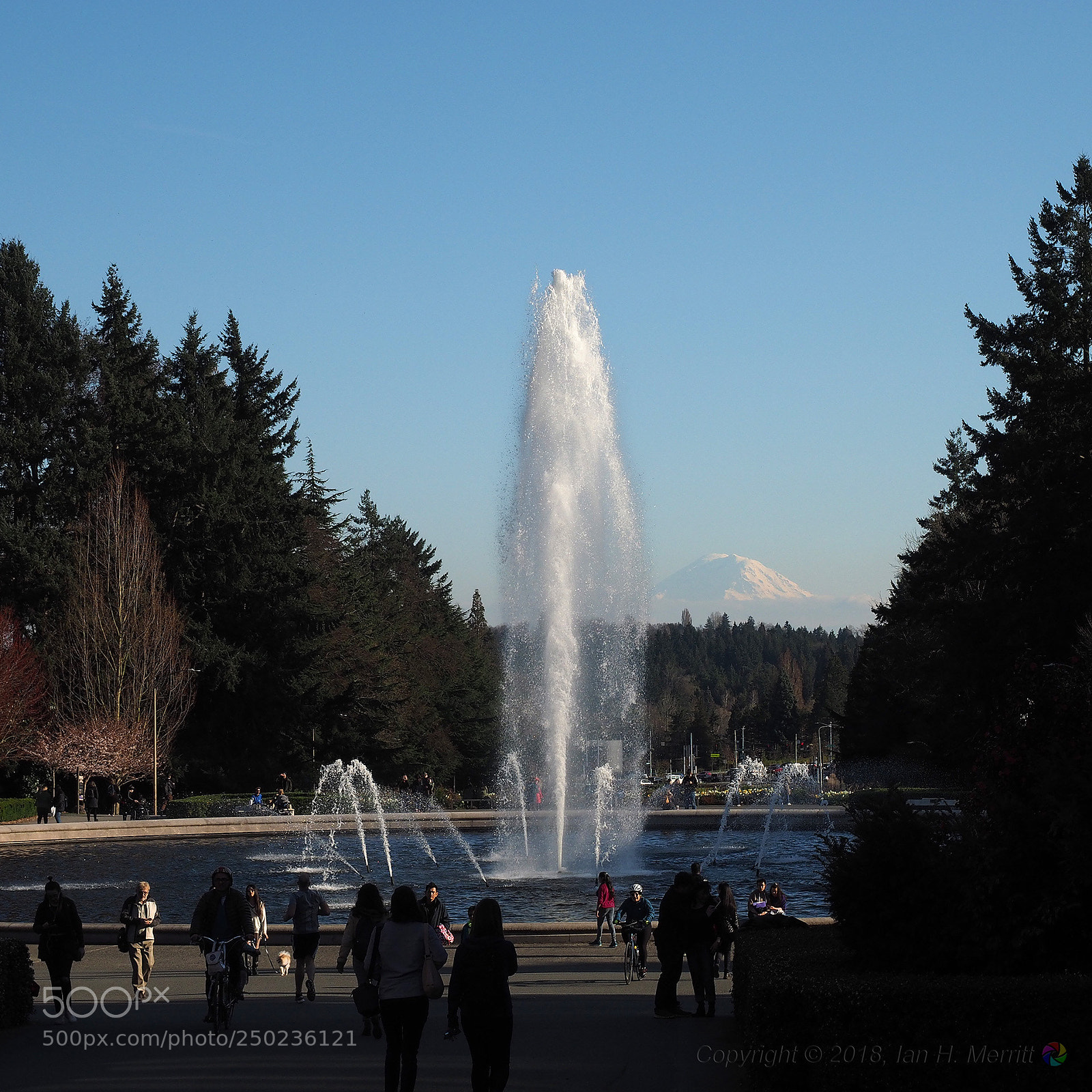 Olympus OM-D E-M1 sample photo. Mt. rainier from university photography