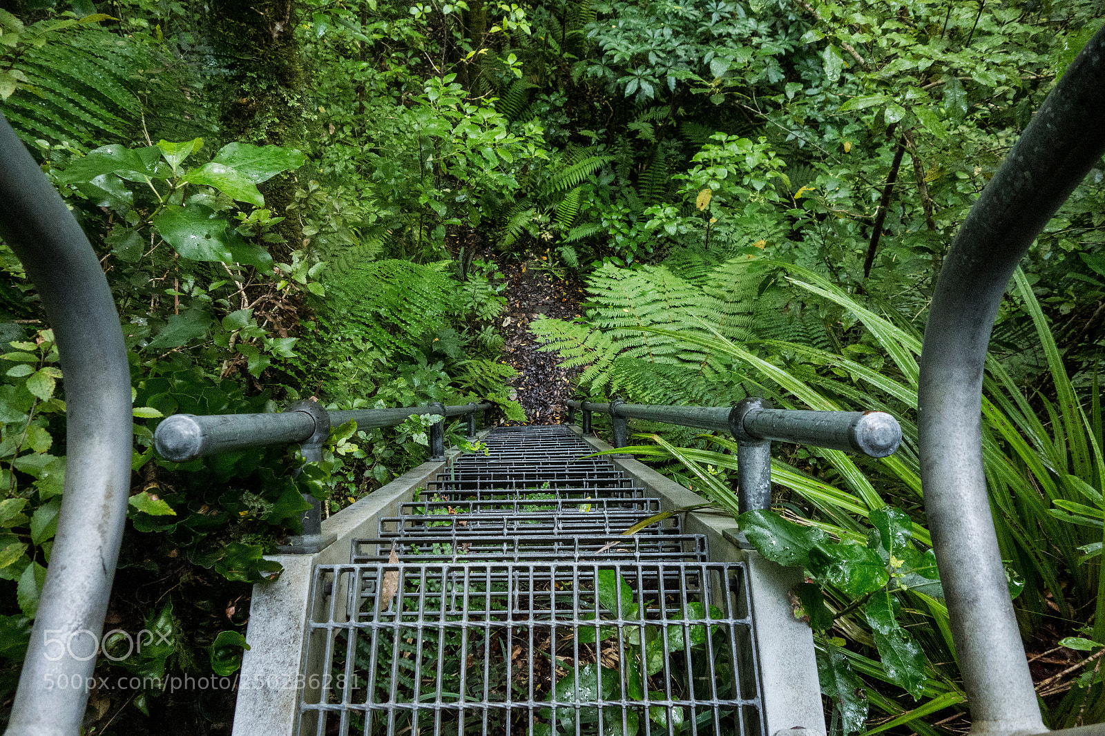 Sony Cyber-shot DSC-RX100 sample photo. Vertical hiking photography