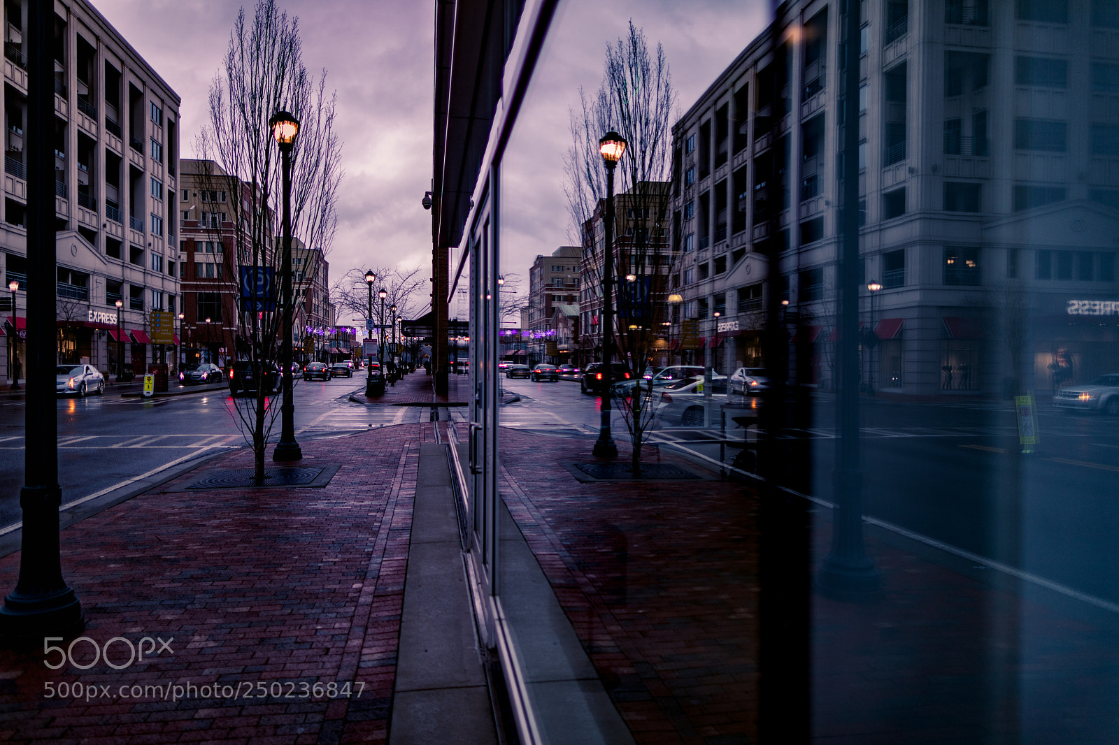 Canon EOS 5D Mark IV sample photo. Untitled photography