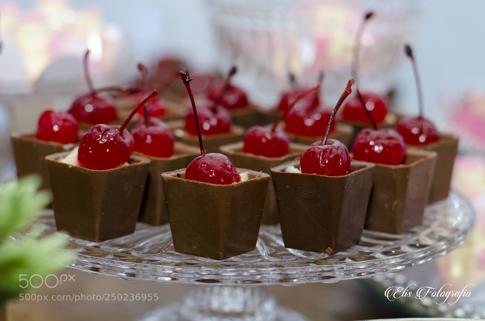 Nikon D5100 sample photo. 202.jpg photography