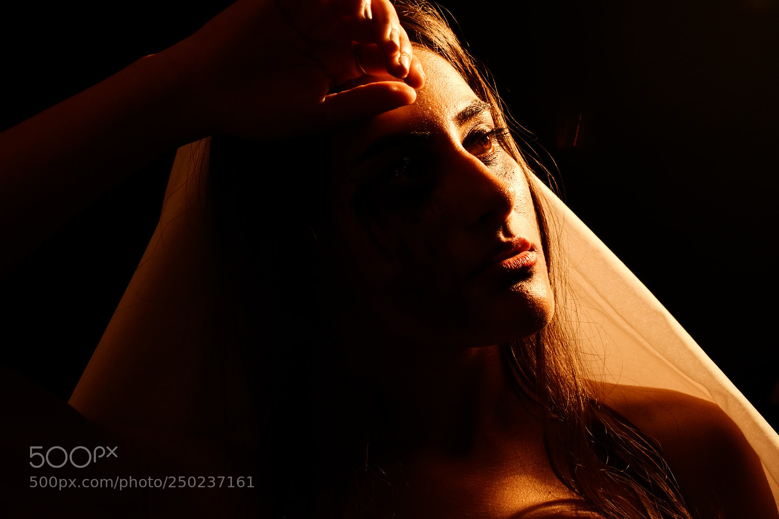 Nikon D5600 sample photo. Deseo photography