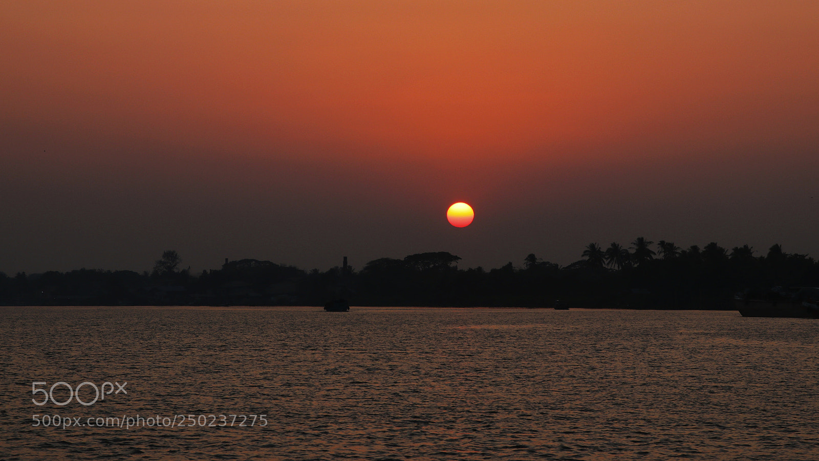 Canon EOS 80D sample photo. Untitled photography