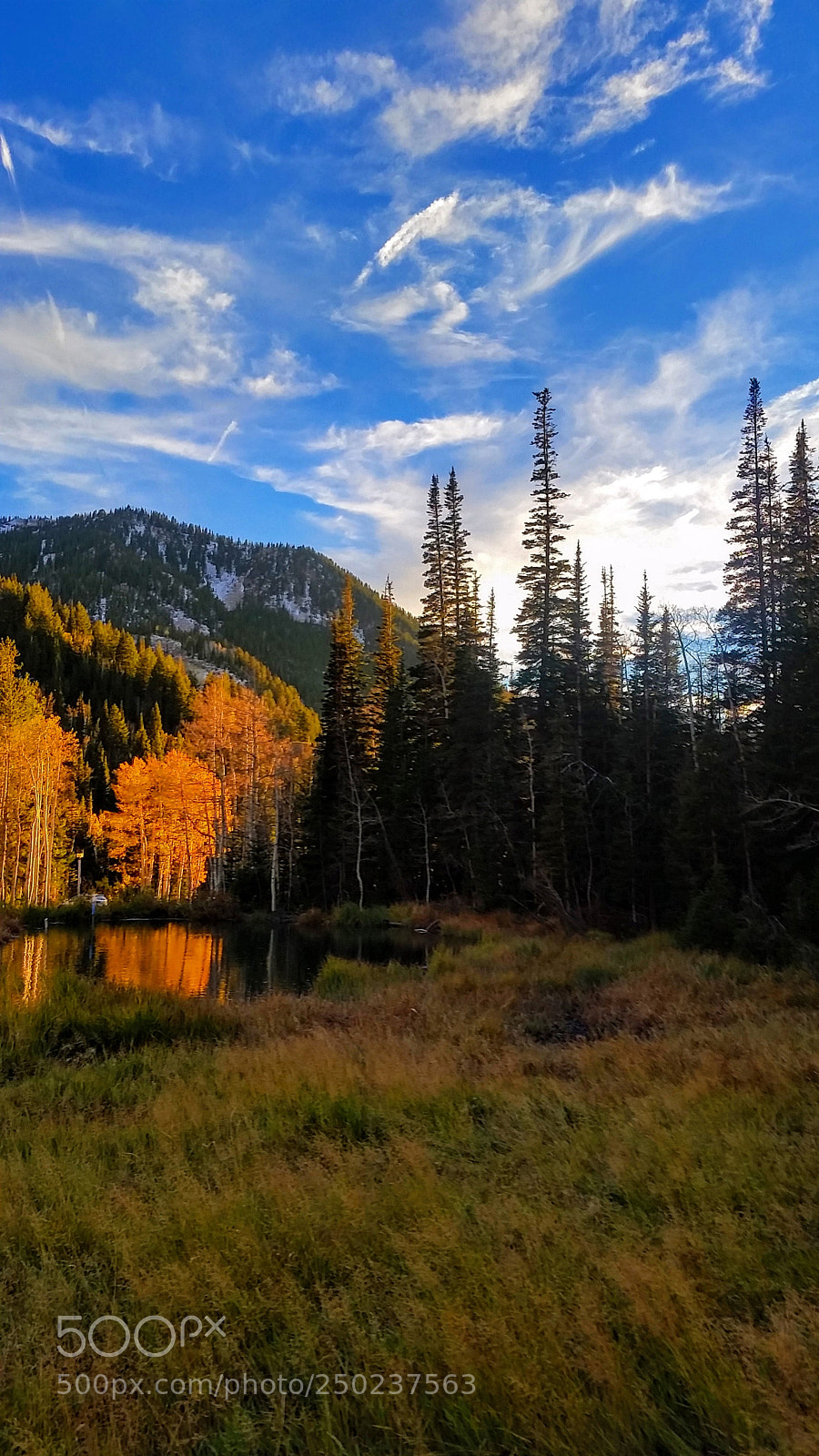 Samsung Galaxy S5 sample photo. Snowbird sunset photography