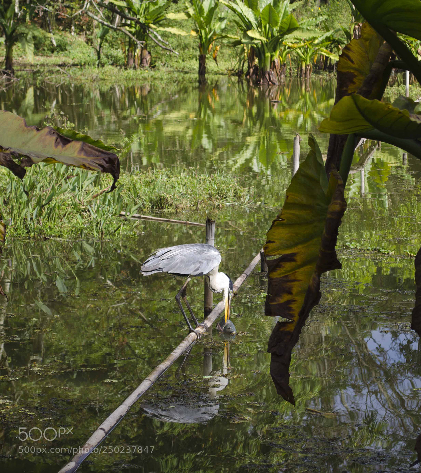 Nikon D5100 sample photo. 00059.jpg photography