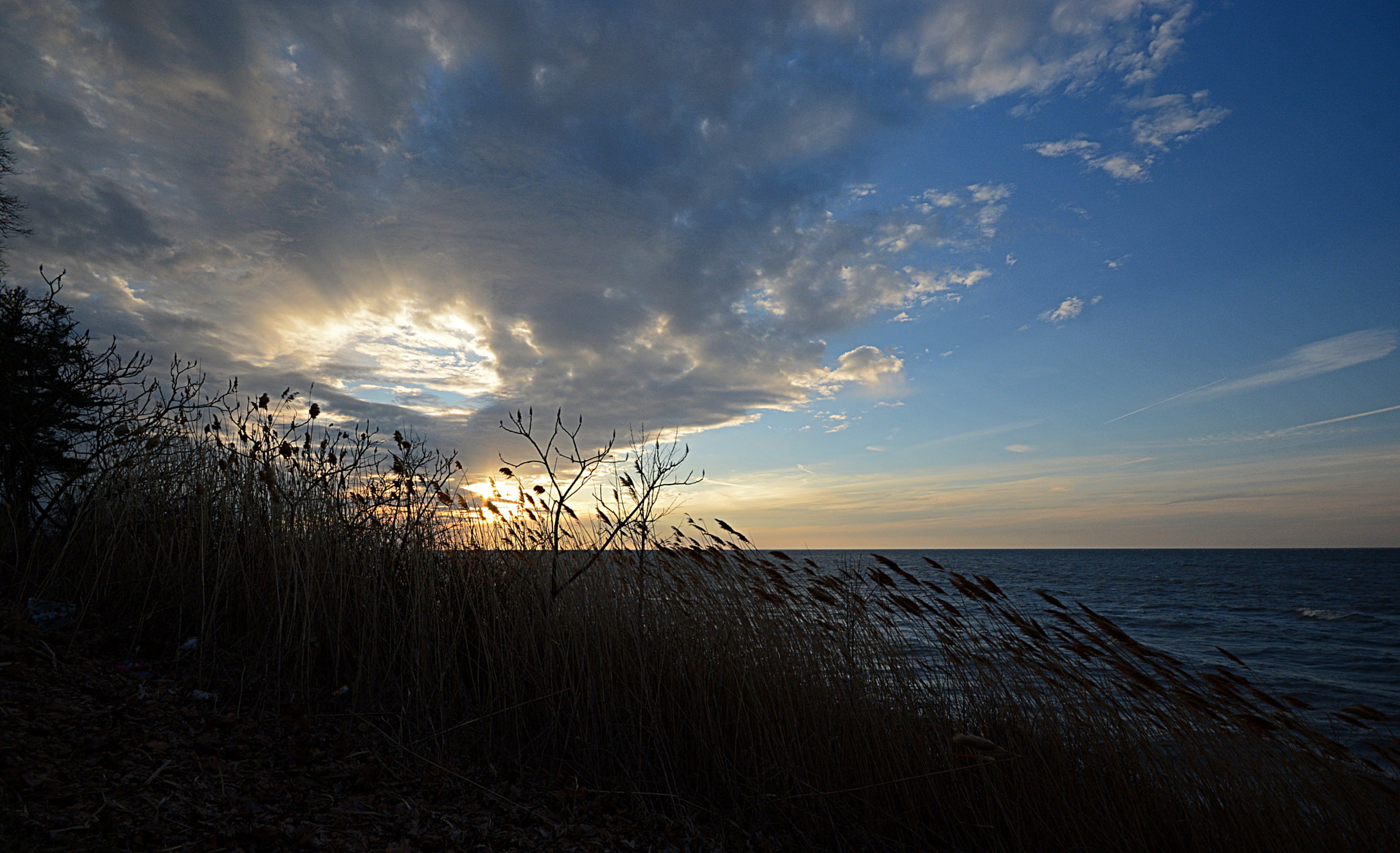 Sigma 10-20mm F4-5.6 EX DC HSM sample photo