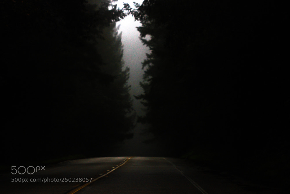 Canon EOS 7D sample photo. Liminal photography