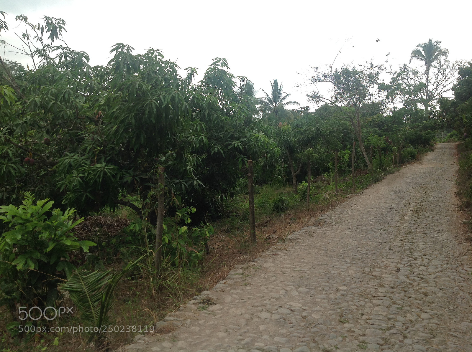 Apple iPad sample photo. Img photography