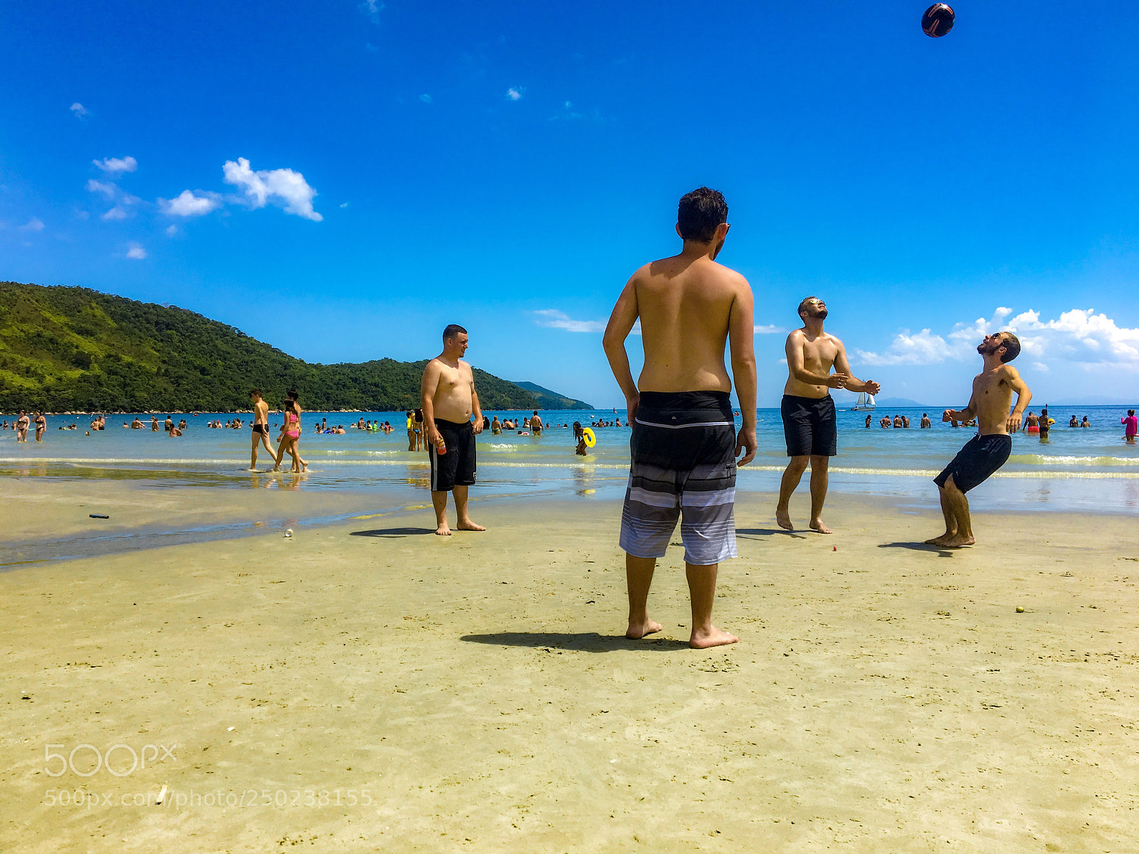 Apple iPhone 6s sample photo. The dream team ? photography