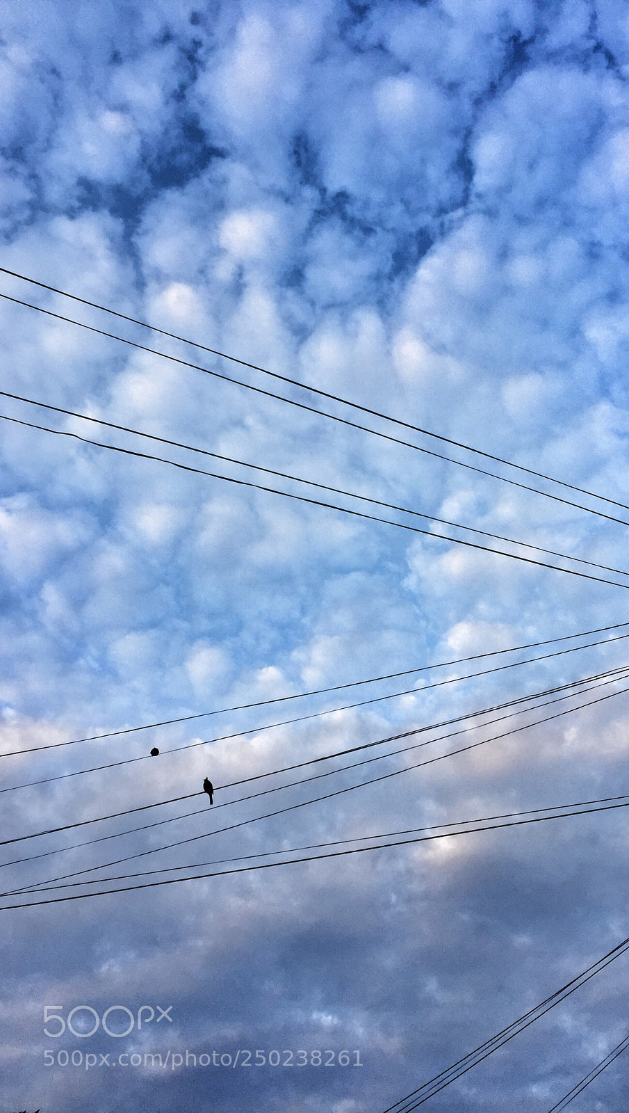 Apple iPhone 6 sample photo. Untitled photography