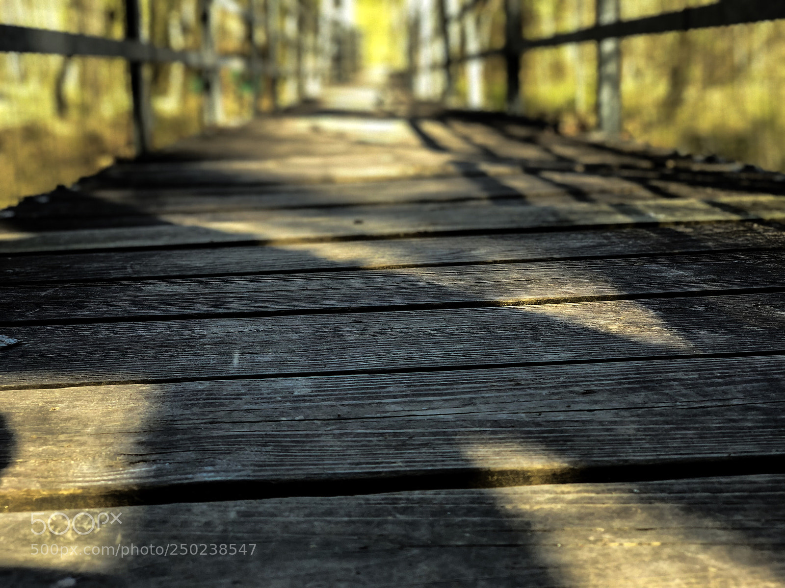 Apple iPhone X sample photo. Bridge trail of tears photography