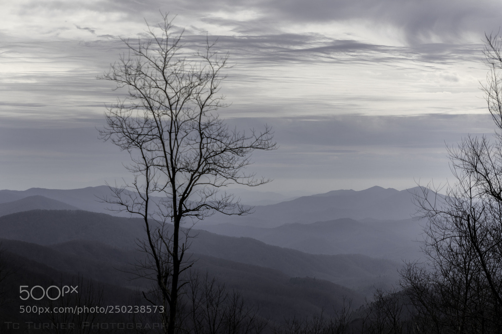 Canon EOS 5D Mark IV sample photo. A photography