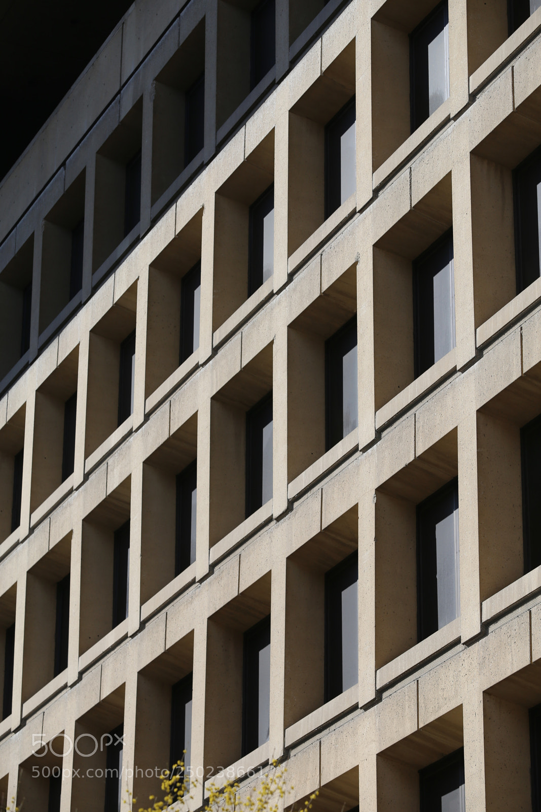 Canon EF 70-200mm F2.8L IS II USM sample photo. Repeat photography
