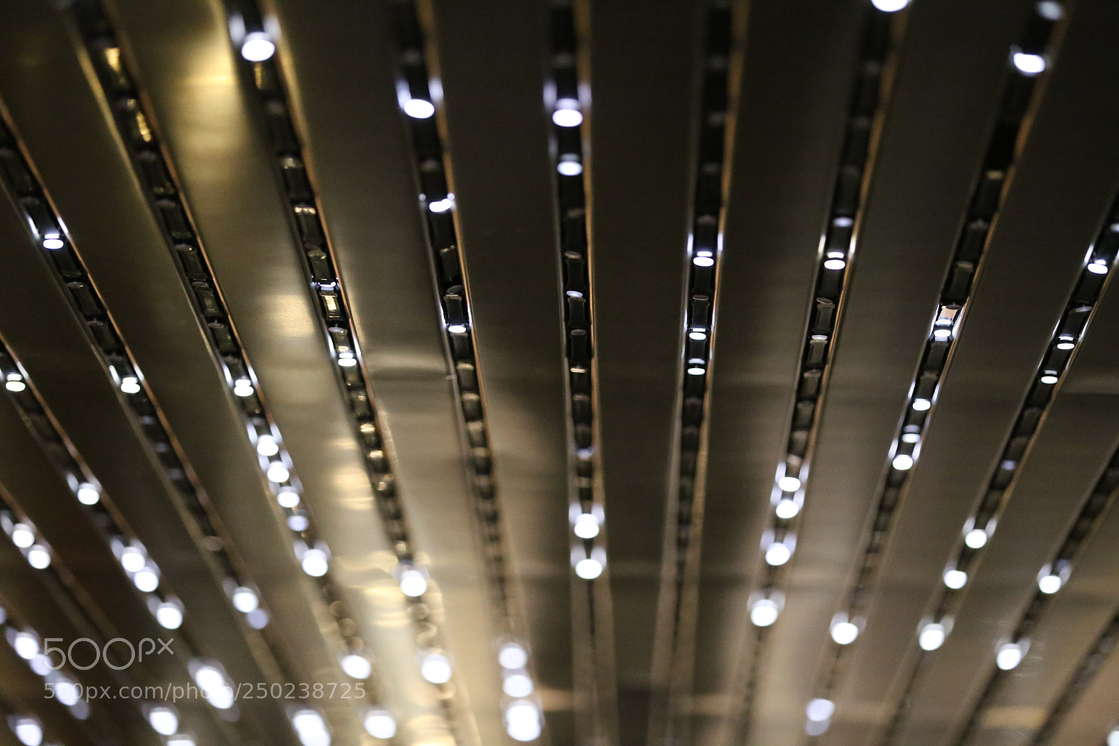 Canon EF 70-200mm F2.8L IS II USM sample photo. Movement photography