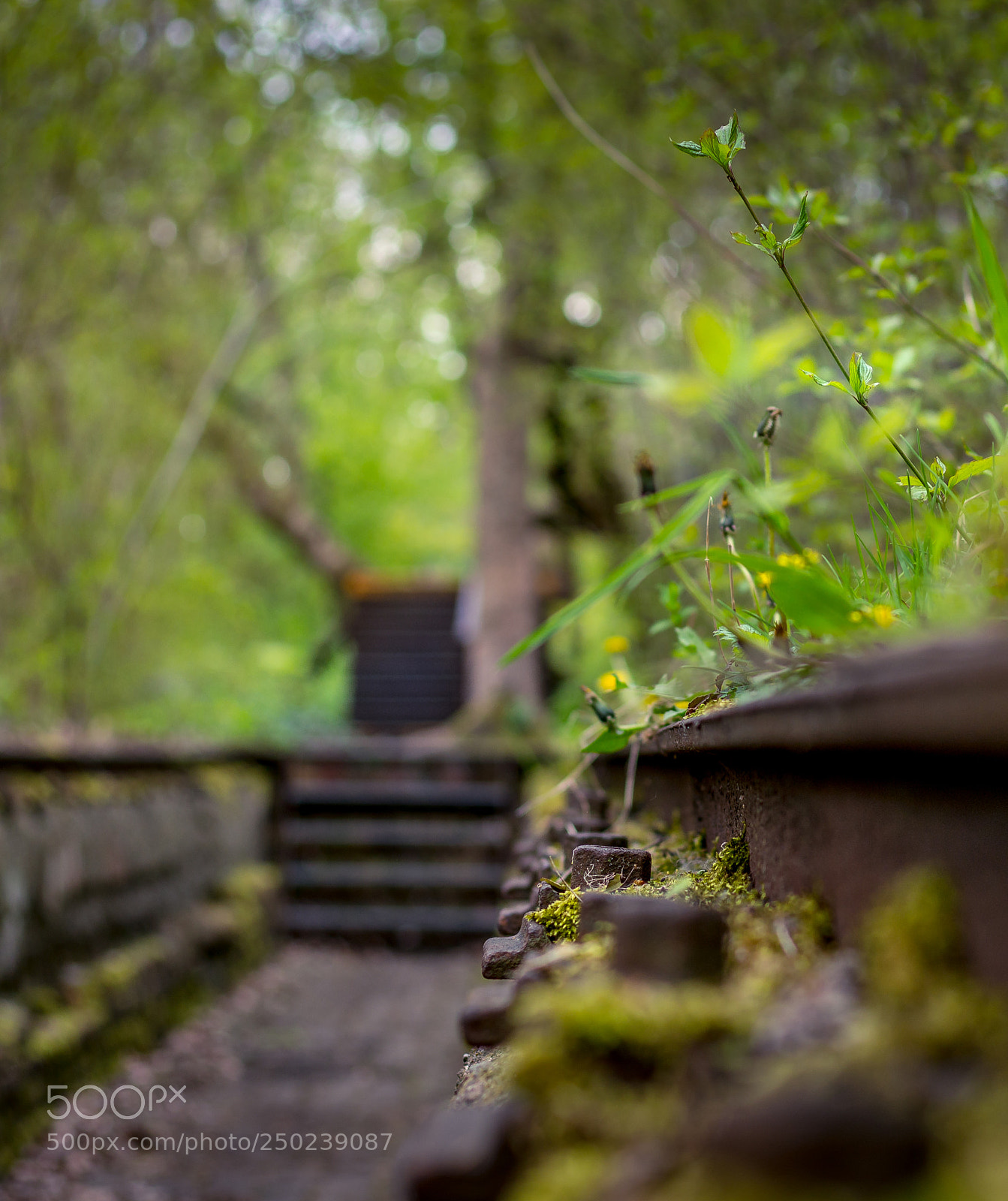 Canon EOS 100D (EOS Rebel SL1 / EOS Kiss X7) sample photo. Old tracks photography