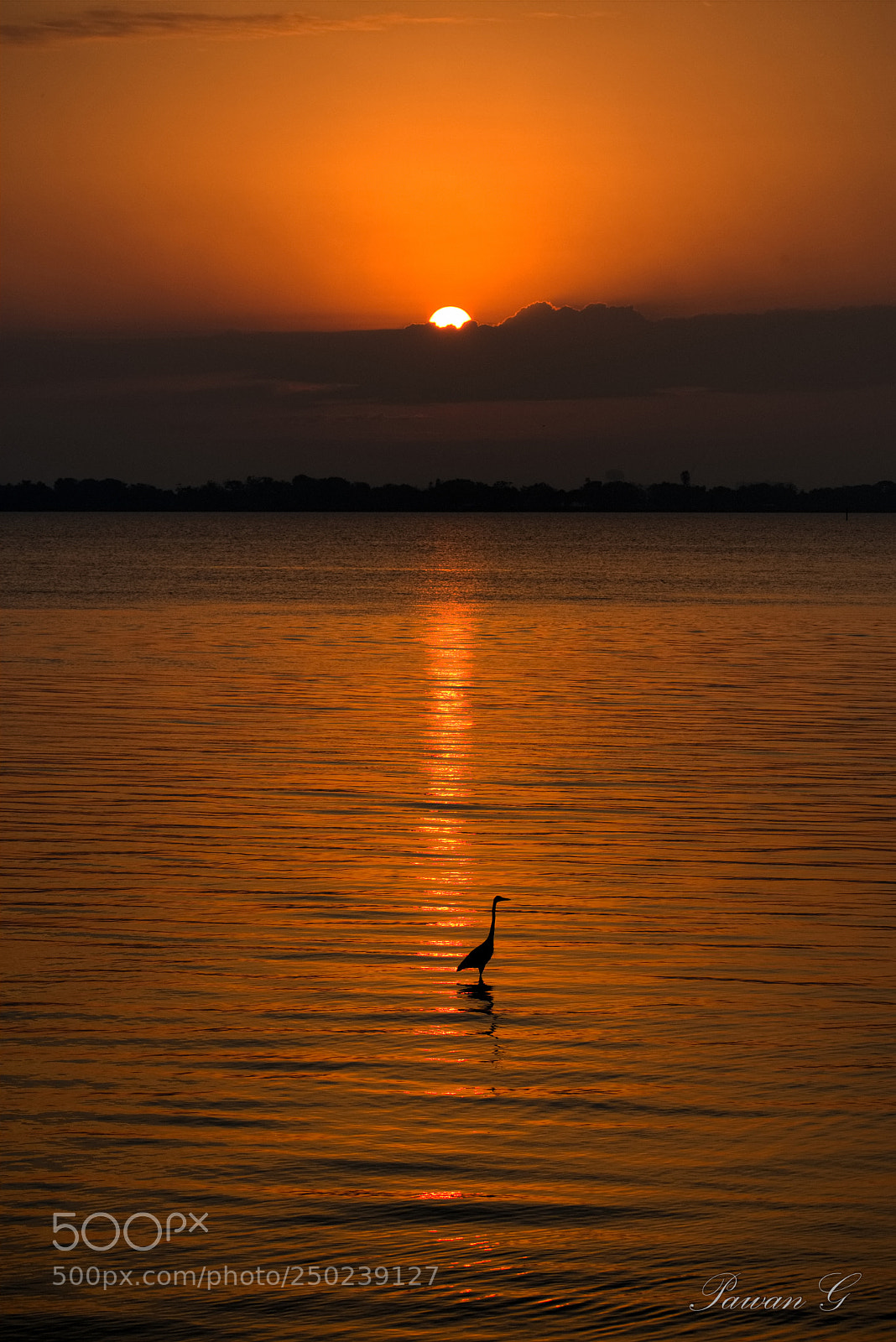 Nikon D3400 sample photo. Sunrise with friend !! photography