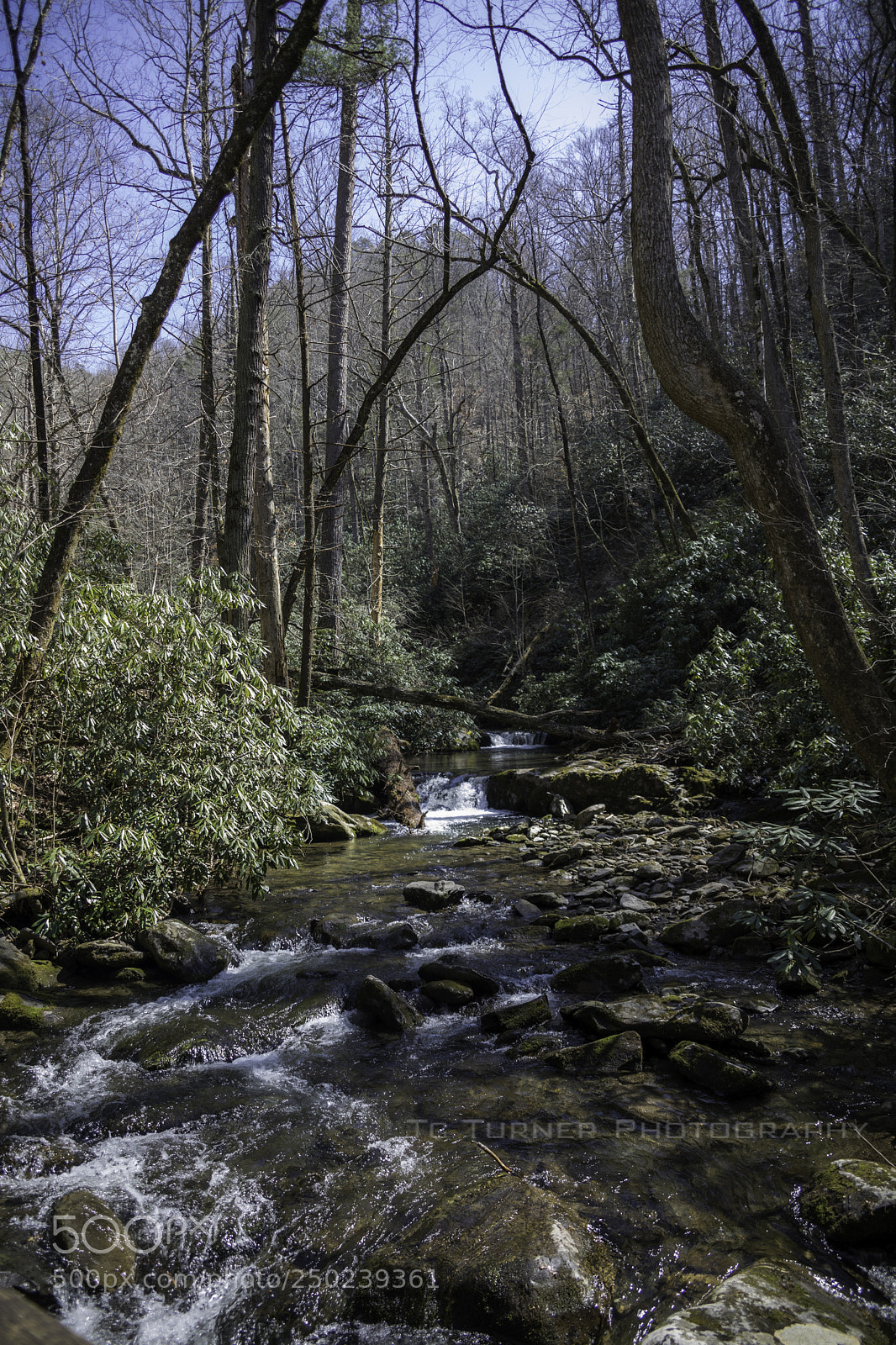 Canon EOS 5D Mark IV sample photo. A photography