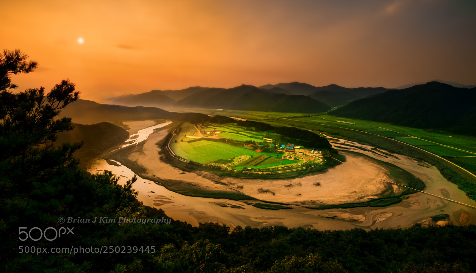Nikon D610 sample photo. Sunrise over the river-twisting photography