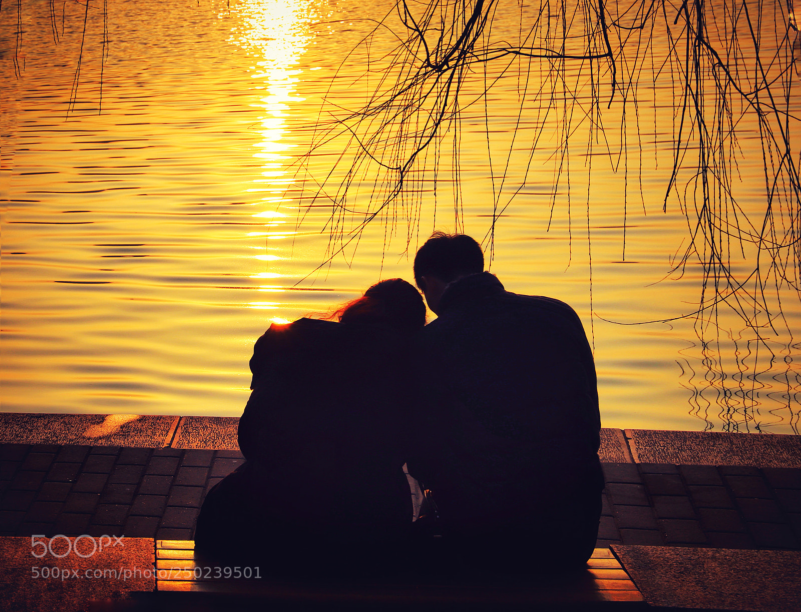 Canon EOS 6D Mark II sample photo. Lover photography