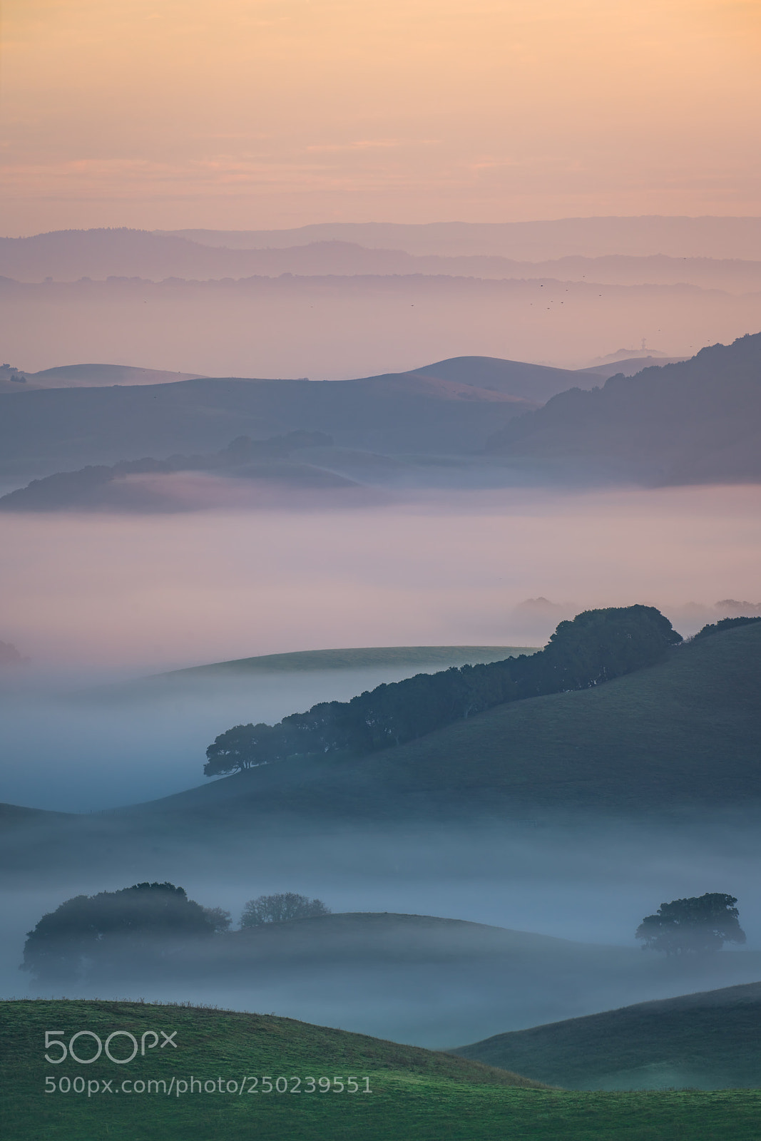 Sony a7R III sample photo. Petaluma at dawn (vertical) photography