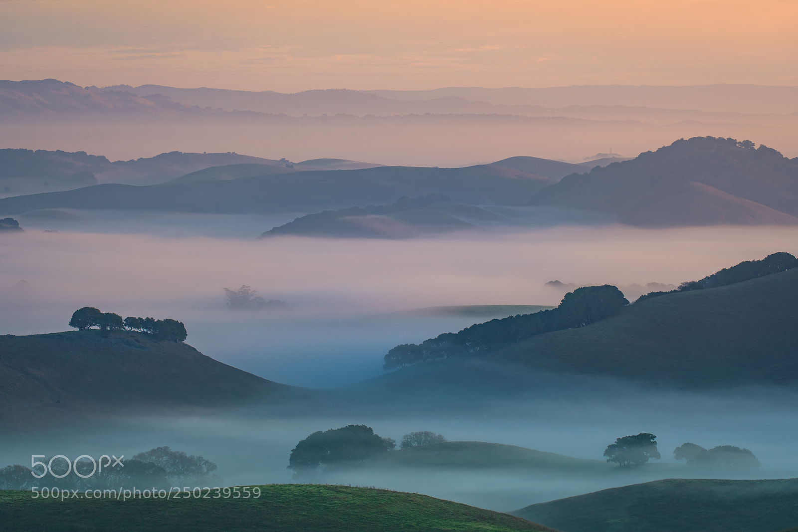 Sony a7R III sample photo. Petaluma at dawn photography
