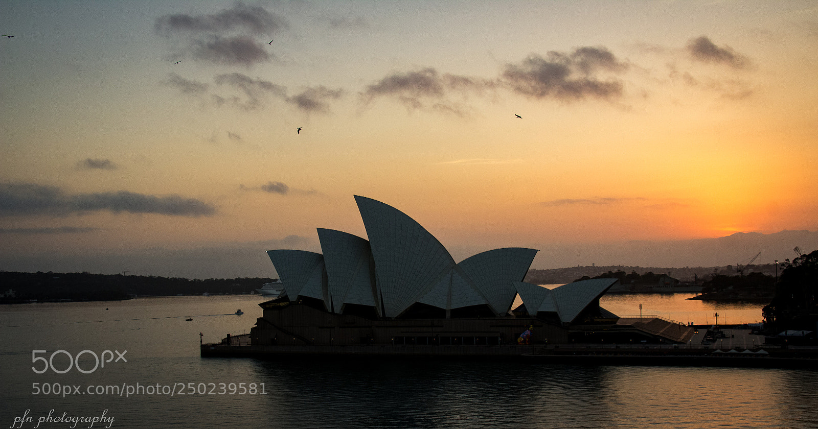 Canon EOS 1200D (EOS Rebel T5 / EOS Kiss X70 / EOS Hi) sample photo. Morning sydney photography