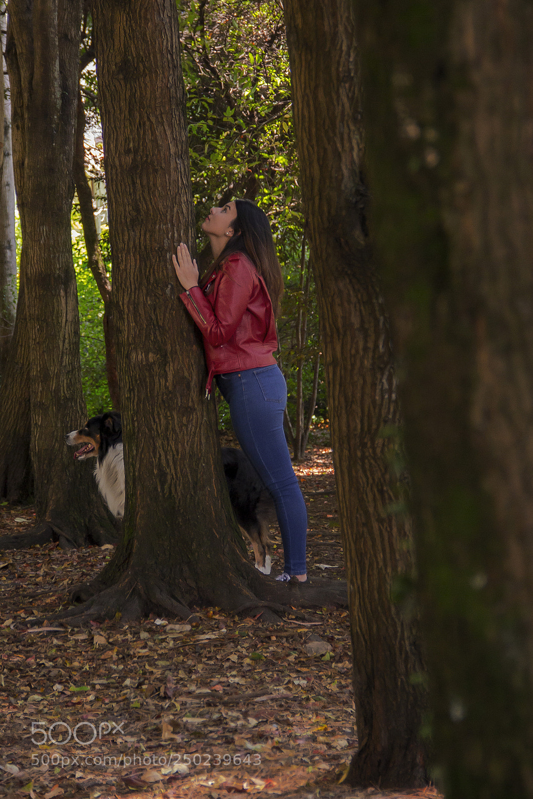 Canon EOS 60D sample photo. Img photography