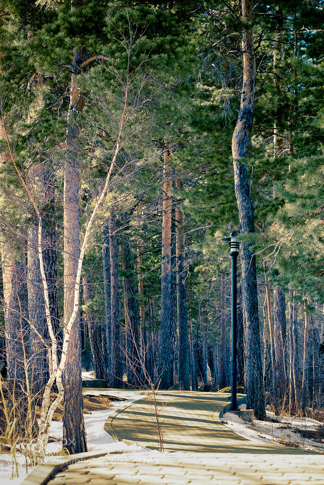 Nikon D610 sample photo. Untitled photography