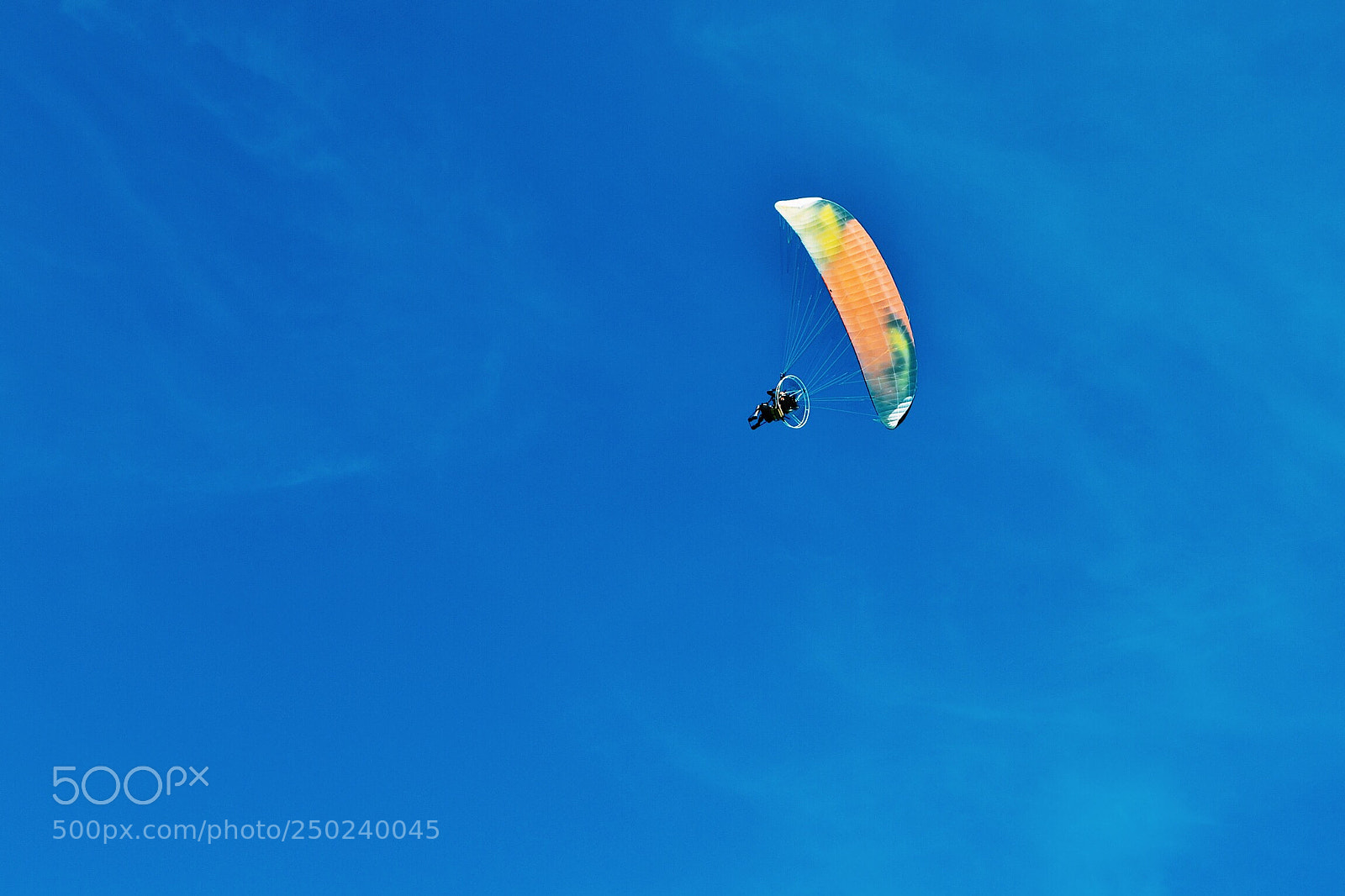 Nikon D3100 sample photo. Freedom  photography