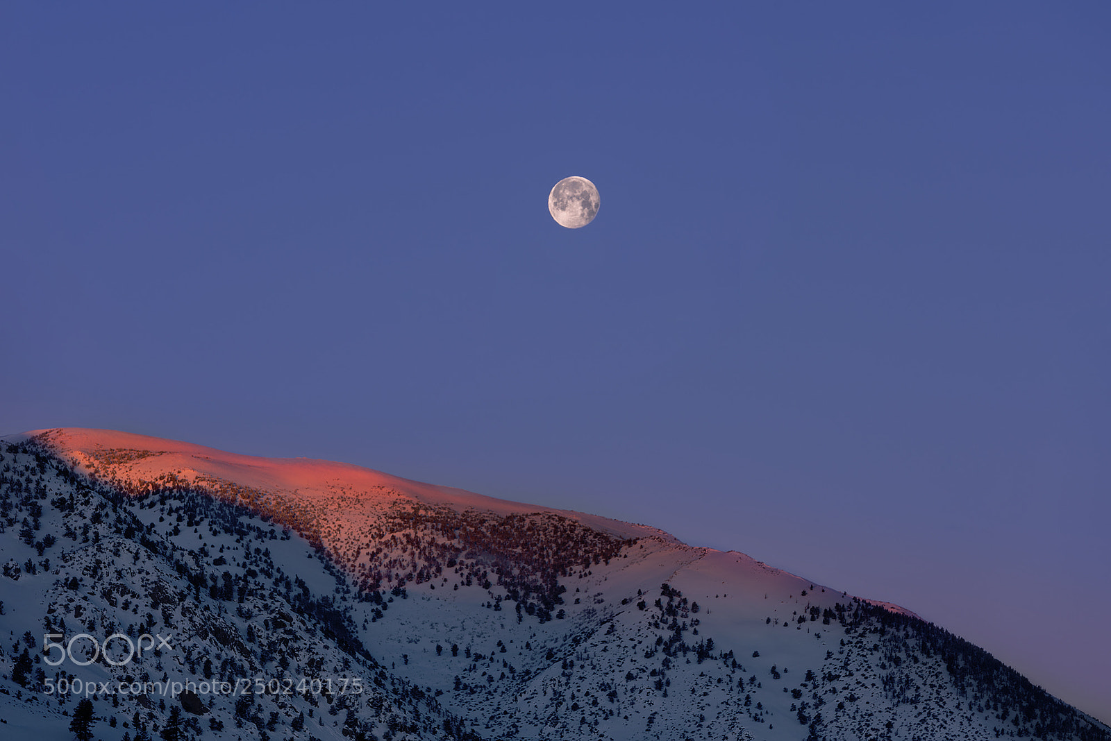 Nikon D810 sample photo. First light moon set photography