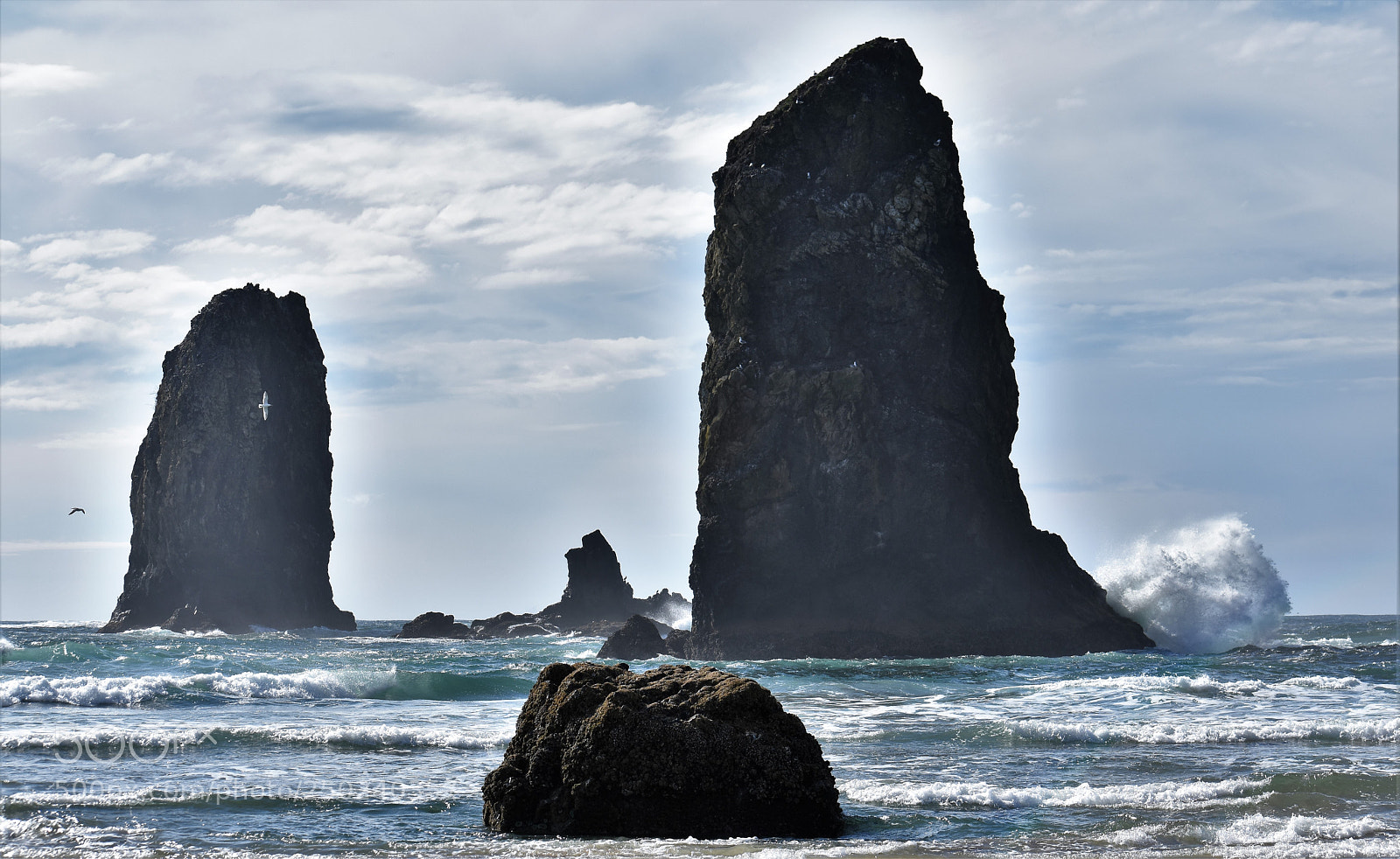 Nikon D3400 sample photo. Pacific northwest - cannon photography