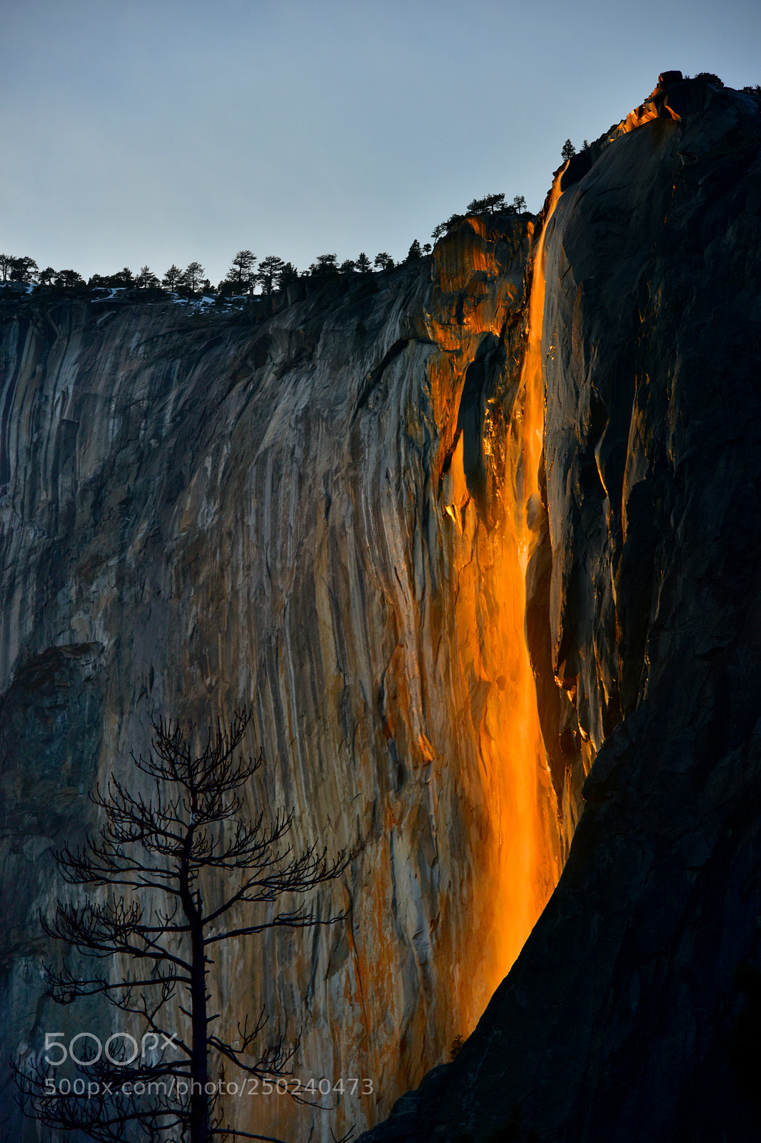 Nikon D810 sample photo. Fire fall yosemite np photography